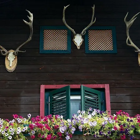 Angerer Alm فندق *